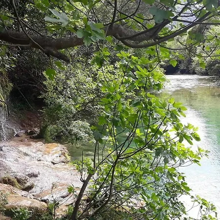 Tiloft Αντίμπ